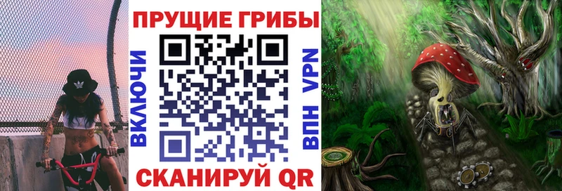 Галлюциногенные грибы мухоморы  дарнет шоп  Люберцы 